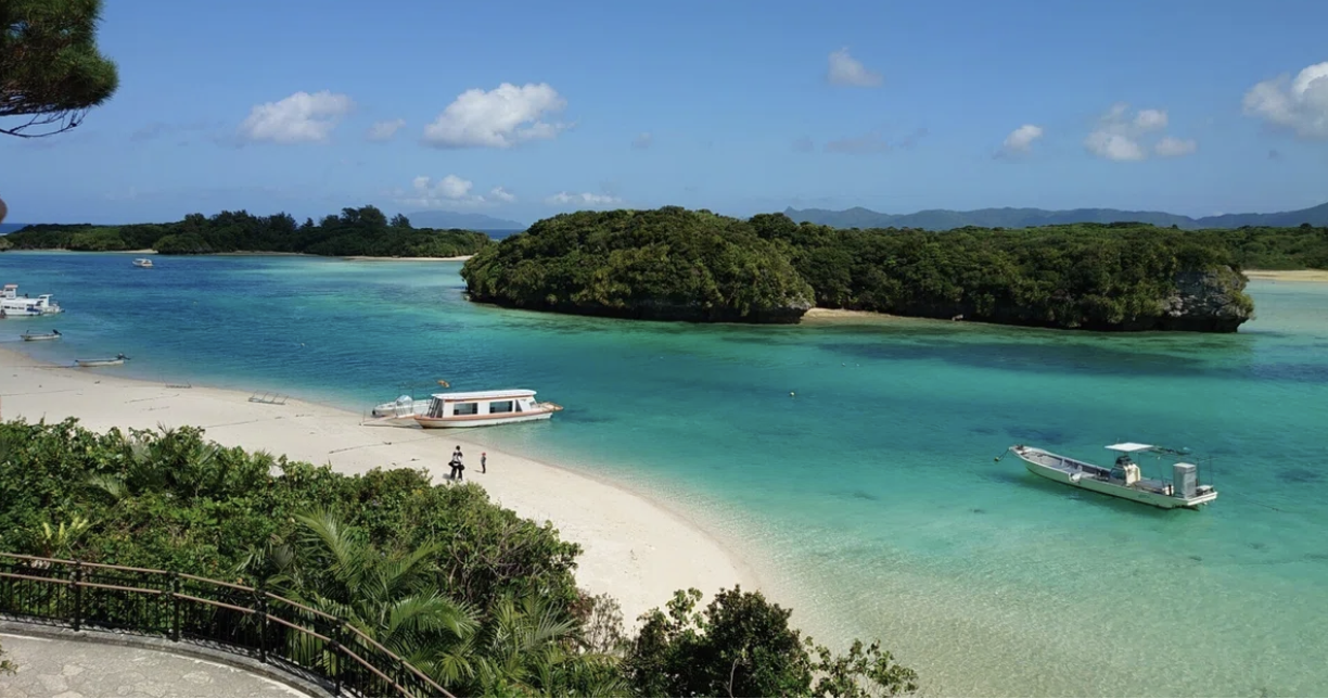 地方スタートアップM&A事例